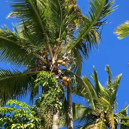 Hilo Bay Oceanfront Bed And Breakfast-2